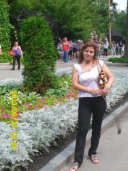 post-9966-0-62292500-1376371544_thumb.jp