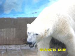 post-9966-0-66092300-1376370786_thumb.jp