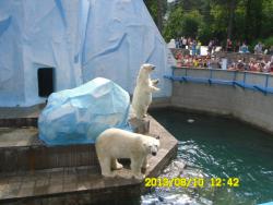 post-9966-0-69625000-1376370915_thumb.jp