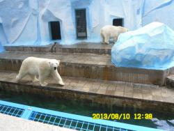 post-9966-0-83202900-1376370732_thumb.jp