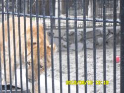 post-9966-0-83867800-1376370101_thumb.jp