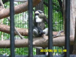 post-9966-0-88349900-1376370316_thumb.jp