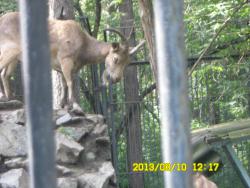 post-9966-0-92537100-1376369552_thumb.jp