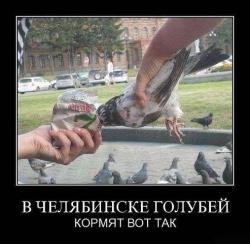 post-10547-0-50659400-1409114778_thumb.j