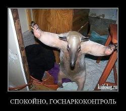 post-10547-0-88116800-1409114608_thumb.j