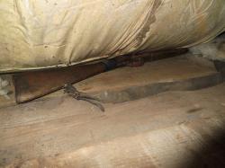 post-1887-0-04639100-1407426256_thumb.jp