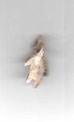 post-20029-0-38163400-1408123085_thumb.j