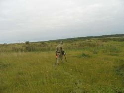 post-27127-0-17385400-1409387042_thumb.j