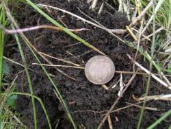 post-27127-0-21089200-1409387786_thumb.j