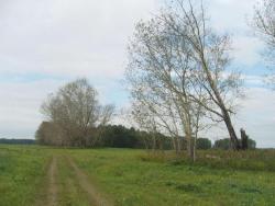 post-27127-0-39842000-1409388085_thumb.j