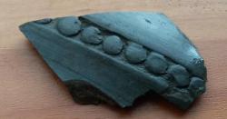 post-27784-0-24571000-1408270838_thumb.j