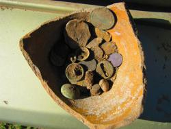 post-27981-0-19497800-1409469804_thumb.j