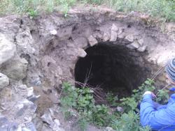 post-27981-0-50872300-1408042444_thumb.j