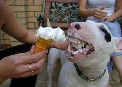 post-28141-0-51454700-1406994235_thumb.j