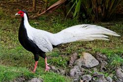 post-2838-0-83545900-1407225307_thumb.jp