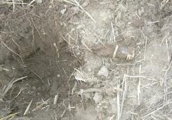 post-28506-0-39631800-1407691896_thumb.j