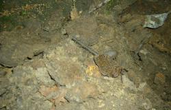 post-28506-0-92308300-1407691895_thumb.j