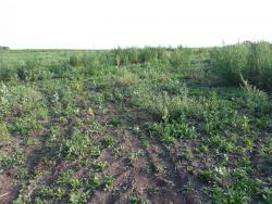 post-28868-0-74351400-1408510786_thumb.j