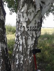 post-29383-0-58954500-1407167429_thumb.j