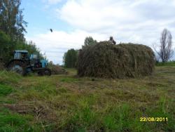 post-29383-0-89648400-1408292732_thumb.j