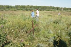 post-3072-0-22672800-1408357062_thumb.jp