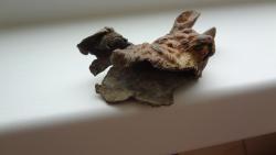 post-31186-0-44618600-1408960969_thumb.j