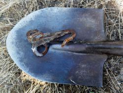 post-31368-0-24872000-1407337650_thumb.j