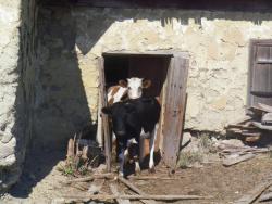 post-31368-0-30106600-1408202759_thumb.j