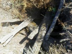 post-31368-0-42676400-1408202422_thumb.j