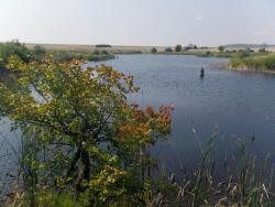 post-31368-0-52067200-1407337644_thumb.j