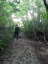 post-31368-0-52845000-1408202016_thumb.j