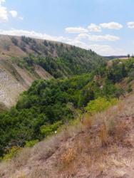 post-31368-0-82600000-1407779523_thumb.j