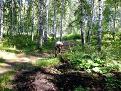 post-31466-0-60421400-1409296598_thumb.j