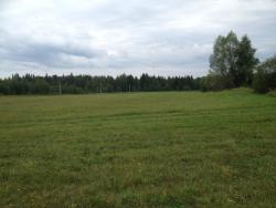 post-31515-0-25152400-1408961306_thumb.j