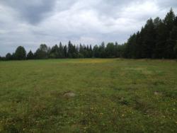 post-31515-0-74568200-1408961324_thumb.j