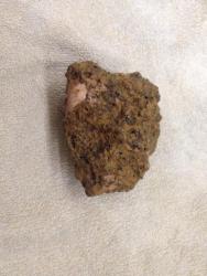 post-31515-0-94220200-1408962277_thumb.j