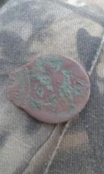 post-31912-0-82097200-1408804290_thumb.j