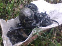 post-8053-0-42377100-1408774789_thumb.jp