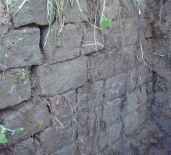 post-27646-0-07678500-1439992424_thumb.j