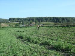 post-27646-0-18431000-1439991983_thumb.j