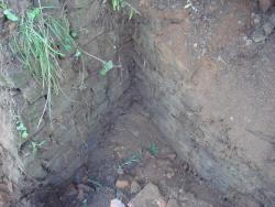 post-27646-0-70159400-1439992332_thumb.j