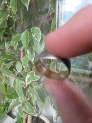 post-27784-0-53363100-1440572627_thumb.j