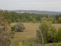 post-29766-0-06353400-1441048636_thumb.j