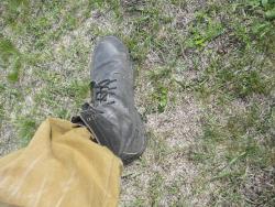 post-29871-0-39572800-1439827575_thumb.j