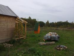 post-31922-0-63409700-1439559577_thumb.j