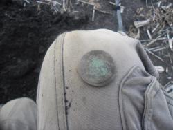 post-32197-0-20383400-1439157691_thumb.j