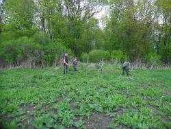 post-32197-0-41416500-1439157871_thumb.j