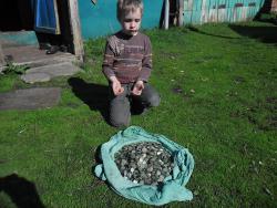 post-32197-0-50129200-1439551831_thumb.j