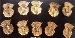 post-32659-0-16055400-1439705787_thumb.j