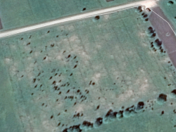 post-33940-0-02394700-1439823060_thumb.p